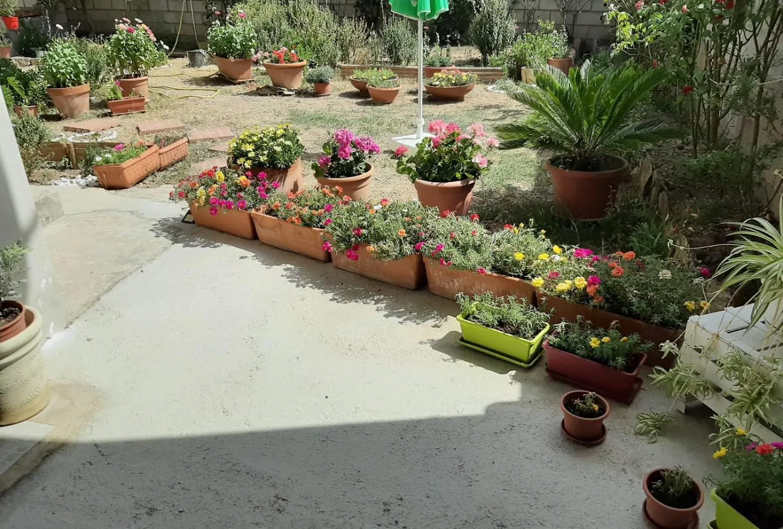 Casa Vacanze Millefiori Codice Iun Q3156 Teulada Italy